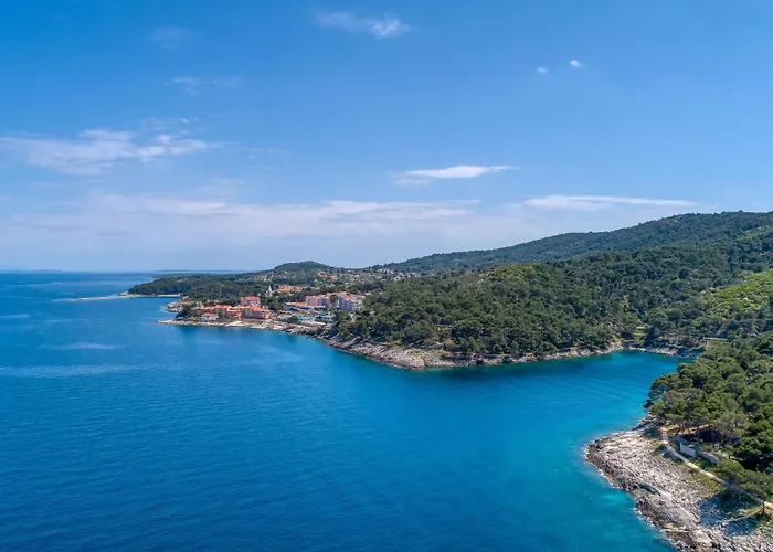Cikat Bay Modern - Happy Apartman Mali Losinj